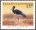 Black Stork (Ciconia nigra)